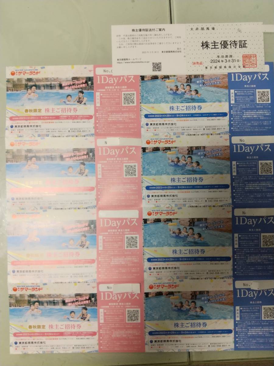 最新 東京サマーランド 1dayパス 8枚（東京都競馬 株主優待) ＋