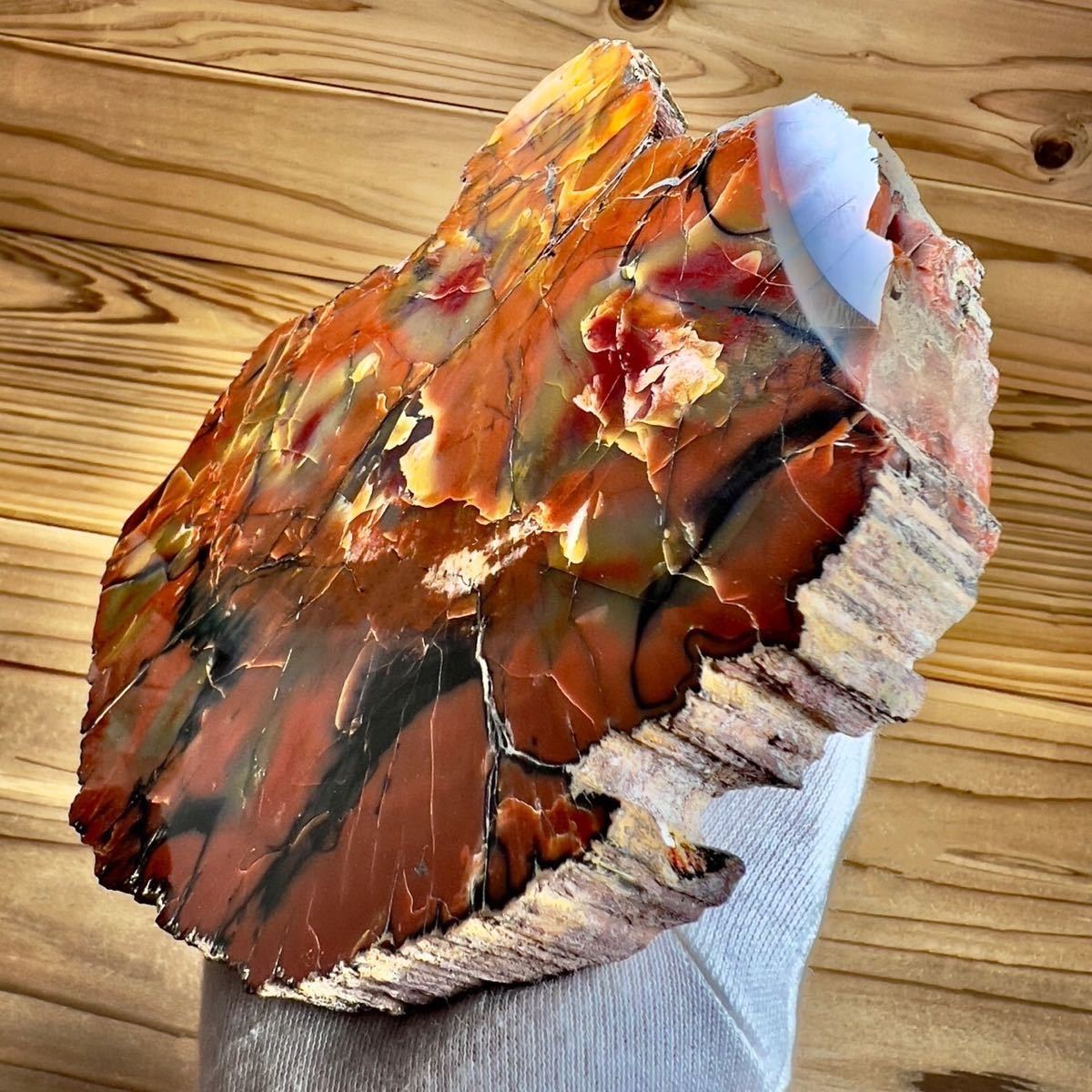 超〜特大 博物館級ペトリファイドウッド原石 唯一無二の美麗さ艶 珪化木 化石木 ペトリファイドウッド 珪化木 ペトリファイドウッド アメリカ アリゾナ