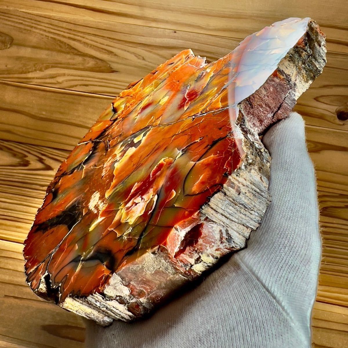 珪化木 ペトリファイドウッド アメリカ アリゾナ産 ジャスパー 化石 台