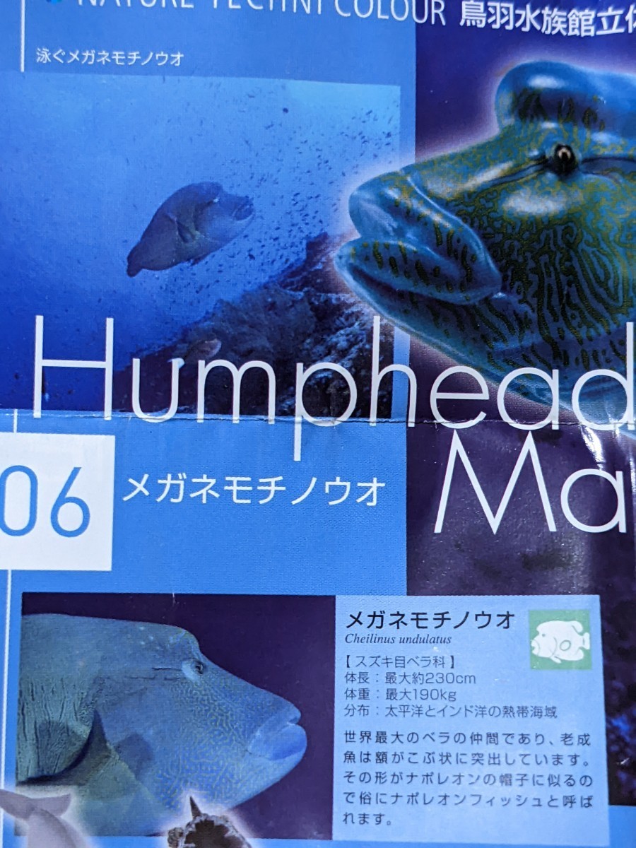 希少 限定版 奇譚クラブトイズ ネイチャーテクニカラー鳥羽水族館