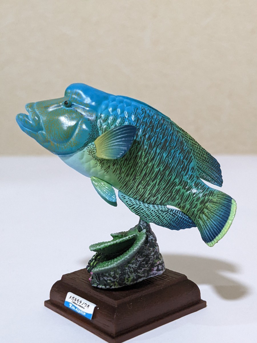 希少 限定版 奇譚クラブトイズ ネイチャーテクニカラー鳥羽水族館