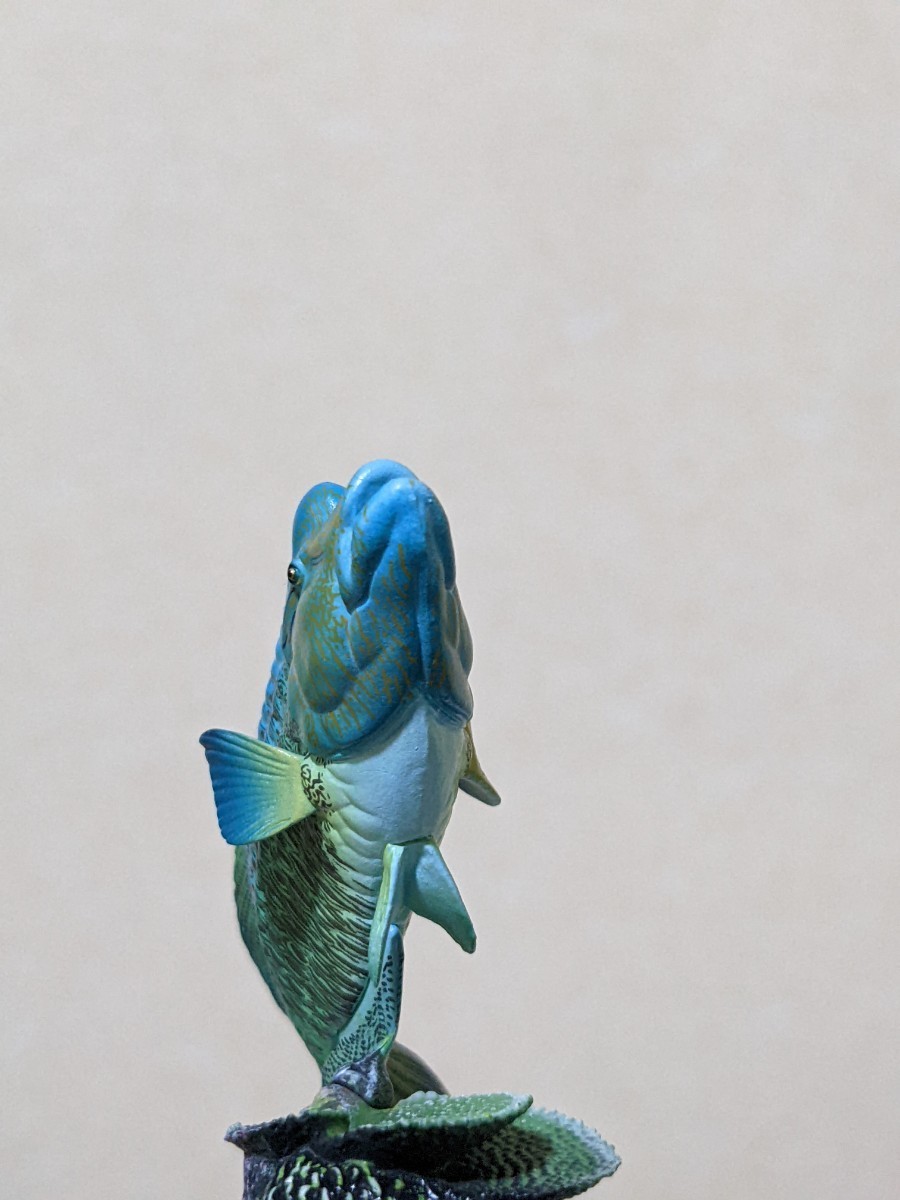 希少 限定版 奇譚クラブトイズ ネイチャーテクニカラー鳥羽水族館