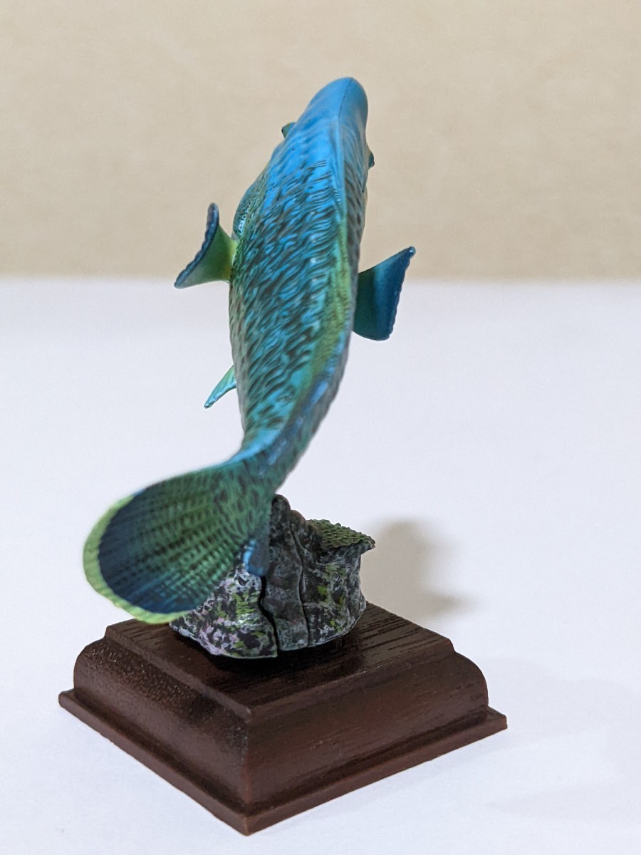 希少 限定版 奇譚クラブトイズ ネイチャーテクニカラー鳥羽水族館
