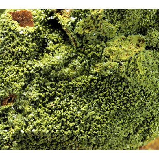 外国産鉱物標本 英国産 パイロモルファイト(緑鉛鉱)