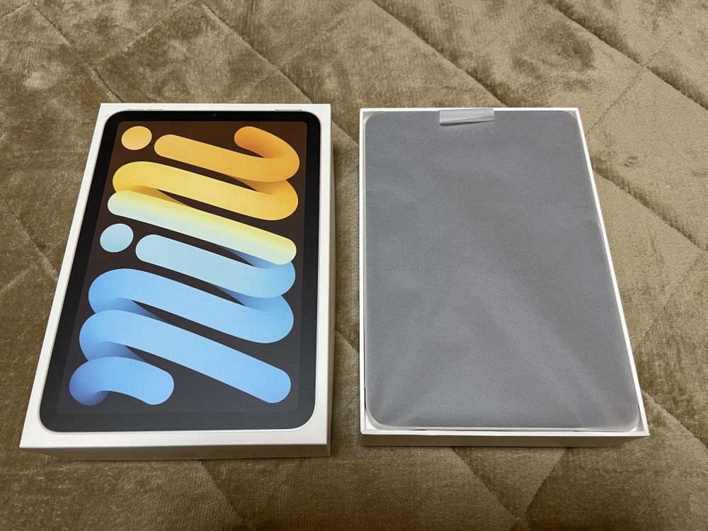 Pad mini 第6世代 256GB Wi-Fiモデル スターライト MK7V3J/A