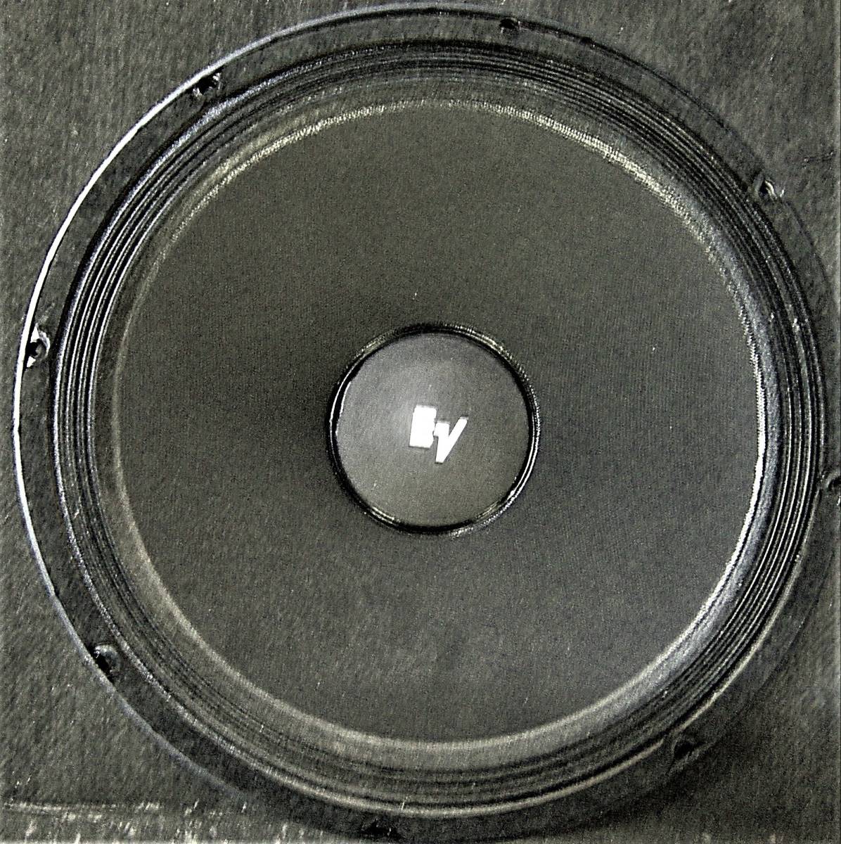 Electro Voice EVM 15B Series II 15
