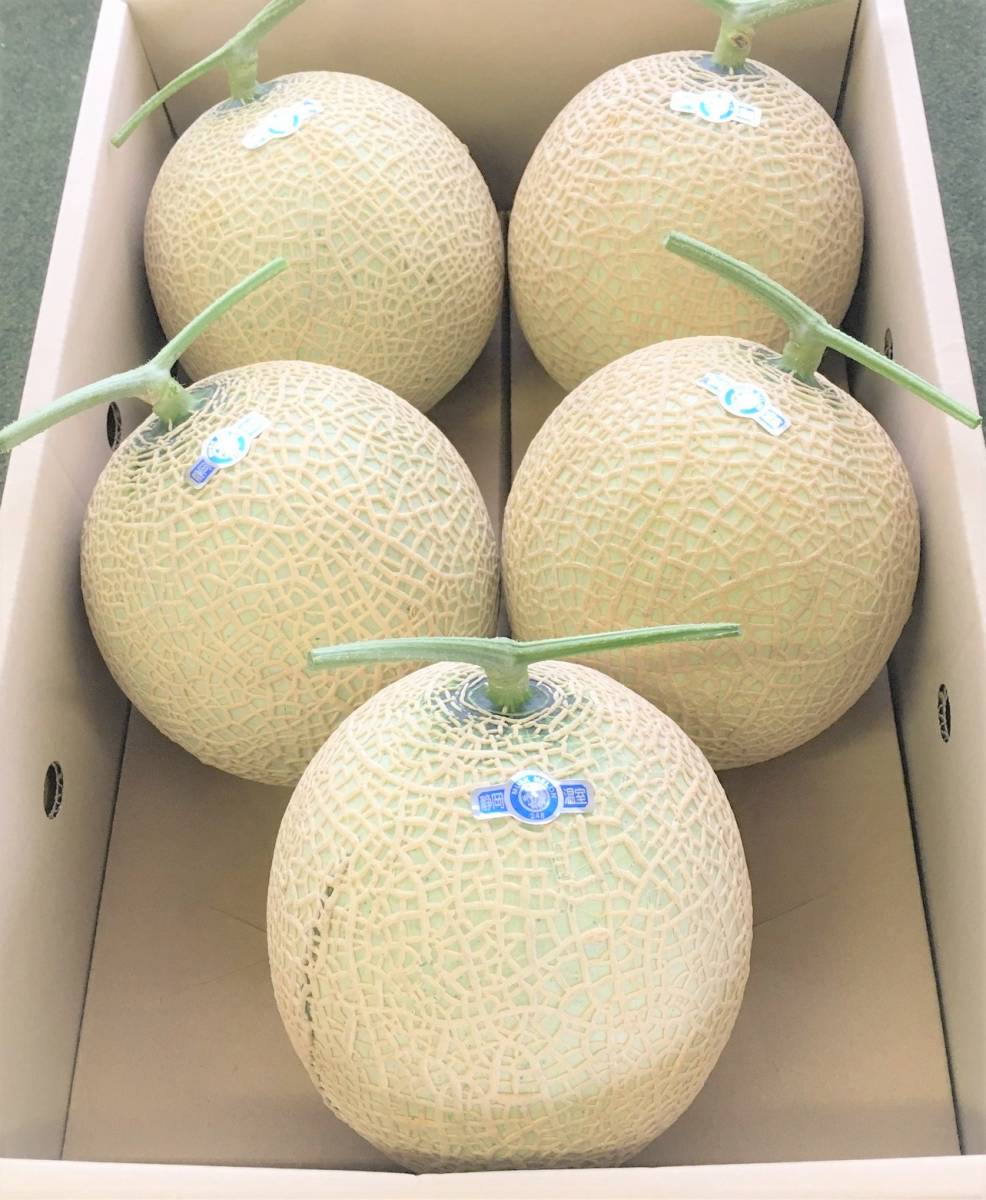 静岡県産 高級メロン 5玉　食べ頃5月1日頃/ご家庭用/7.0 kg以上/ 4/24出荷 3