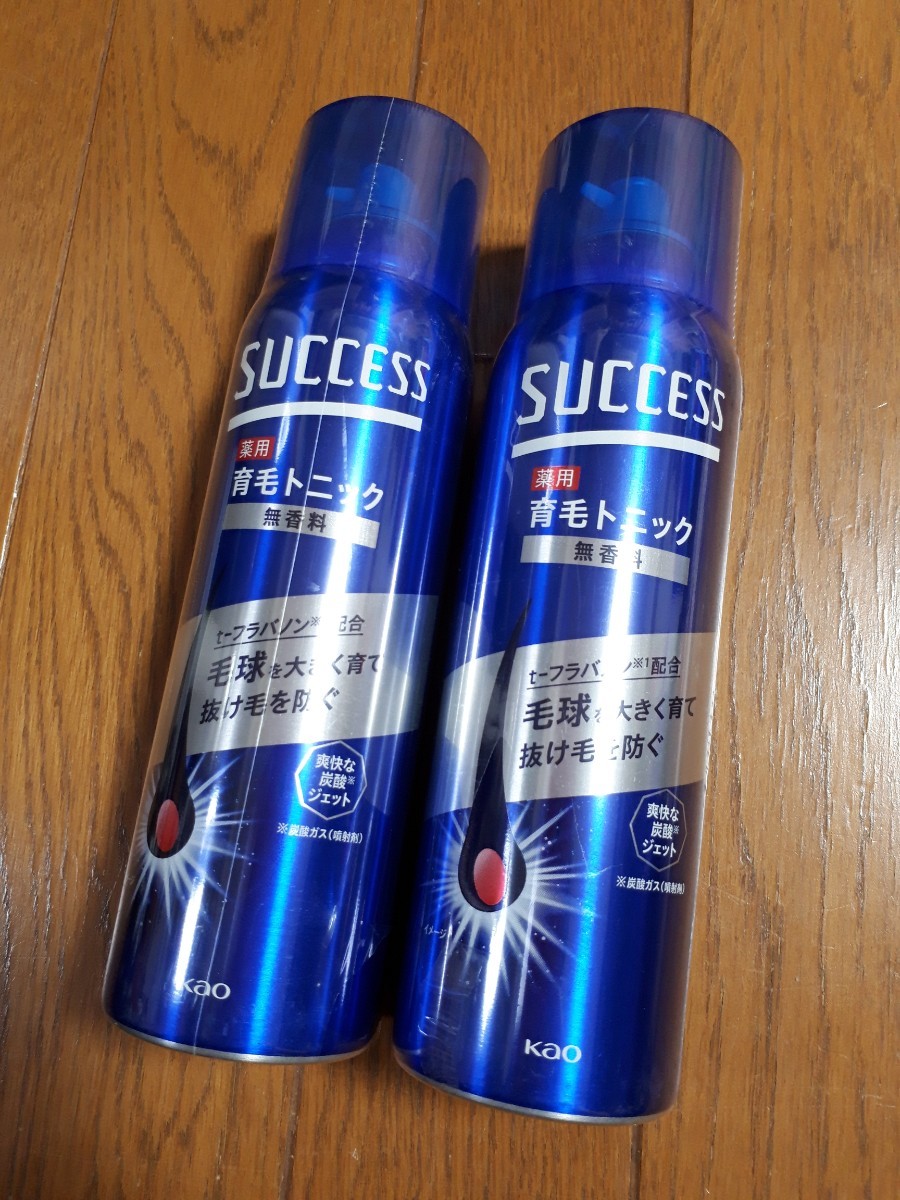 ◆送料無料◆2本セット★【大容量】サクセス薬用育毛トニック 無香料 280g　髪の成長期を保ち，抜けにくい強い髪を育む SUCCESS薬用スプレー