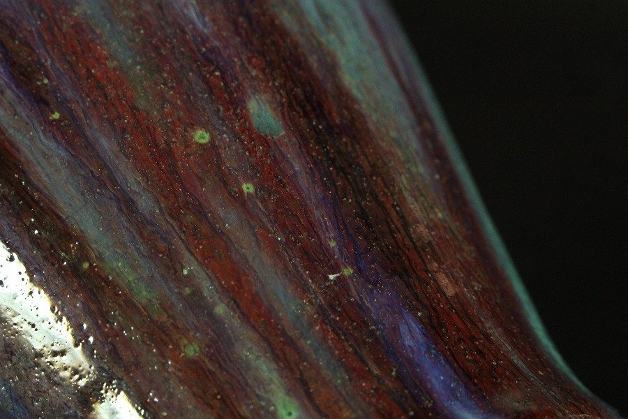 中国古美術 宋時代吉州窯黑釉龍紋皿共箱 中国古