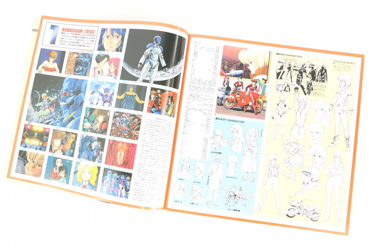 BUBBLEGUM CRISIS レーザーディスク LD コンプリートコレクション 高