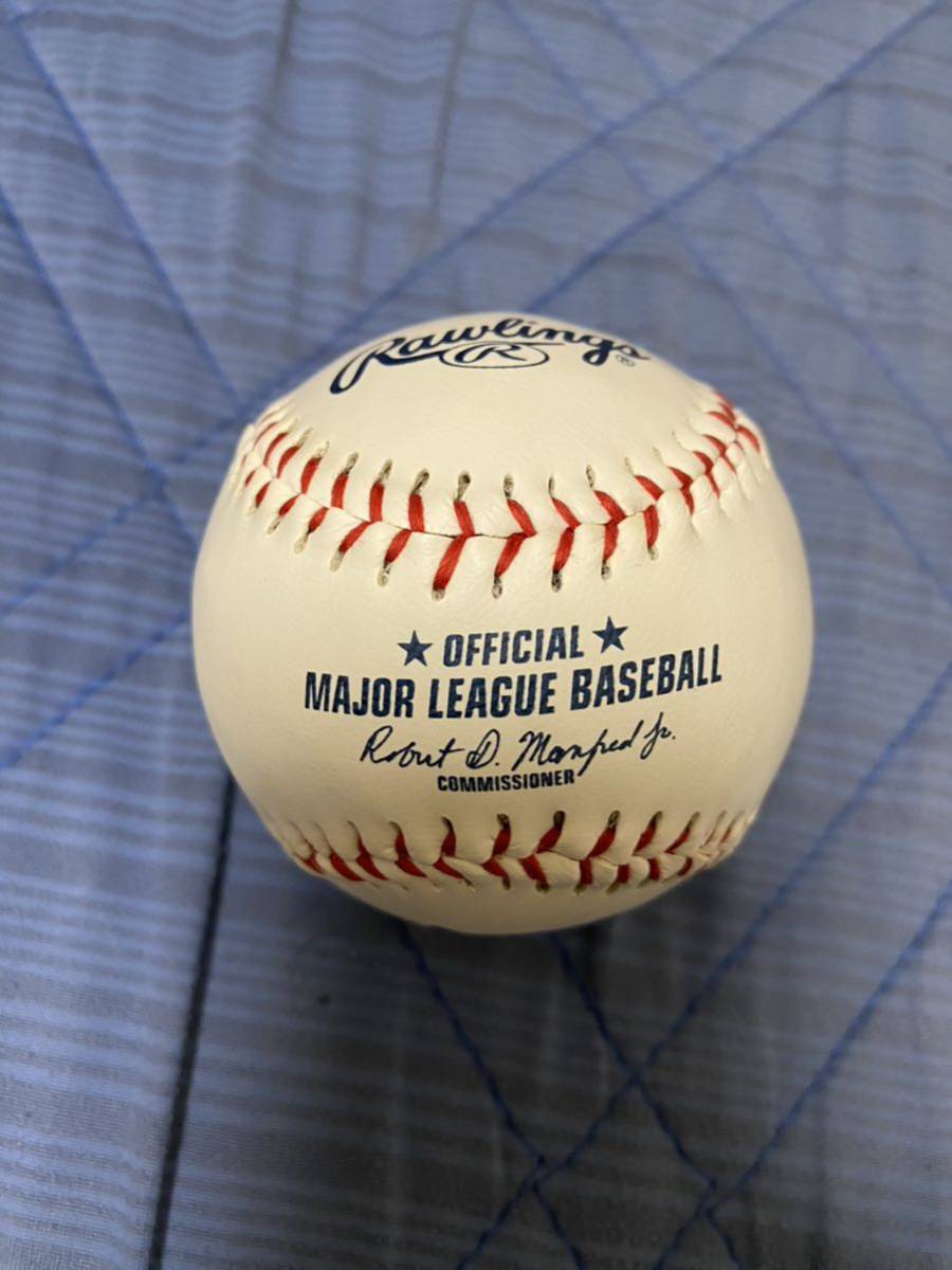 WBC アメリカ代表 トレイ ターナー フィリーズロゴ入り 直筆サイン