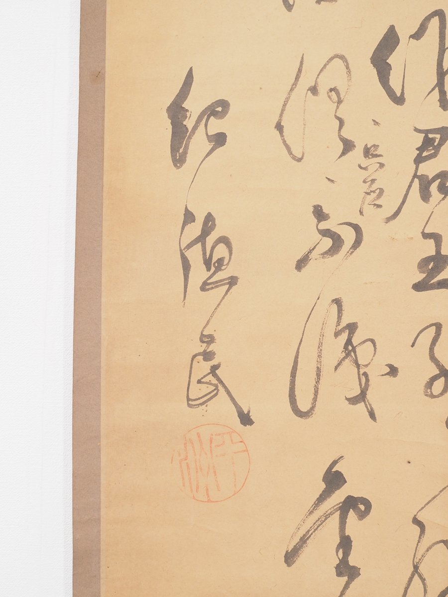 真作】【蘇山】[細井平洲] S8129 掛軸 日本画 共箱 紙本 愛知 尾張