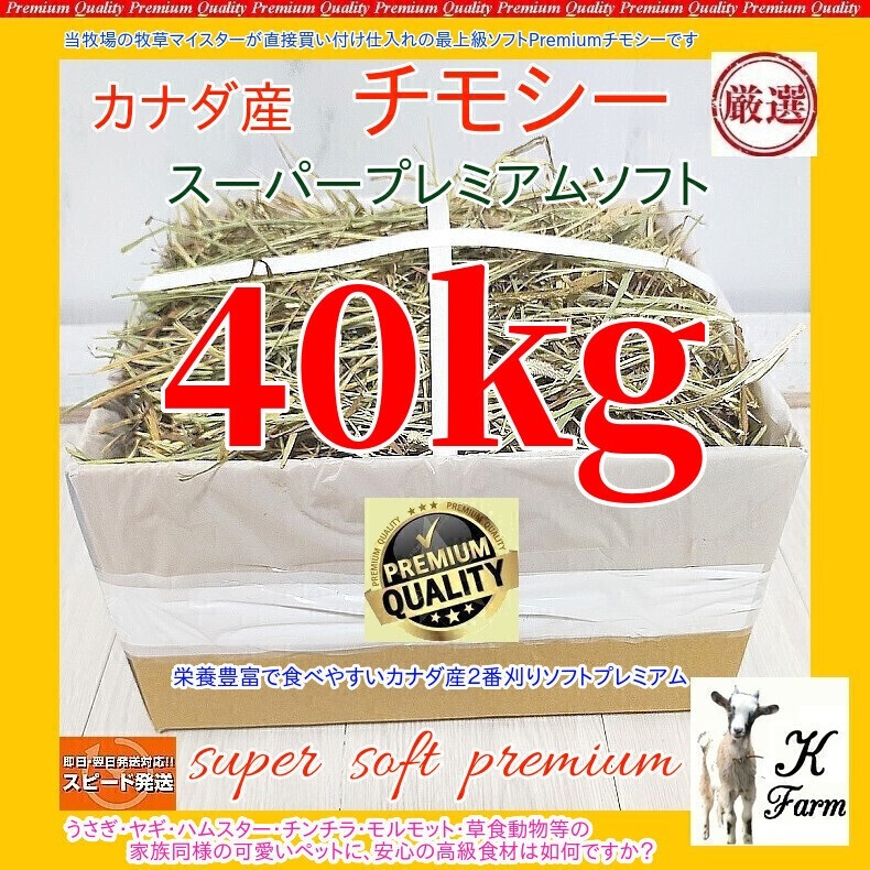 小動物用品 【処分価格】US産 チモシー 50kg 2番刈 ソフトSプレミアム