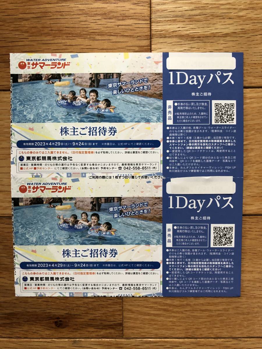 【即決／送料無料】2枚セット 東京都競馬 株主ご優待券 東京サマーランド株主ご招待券１Ｄａｙパス