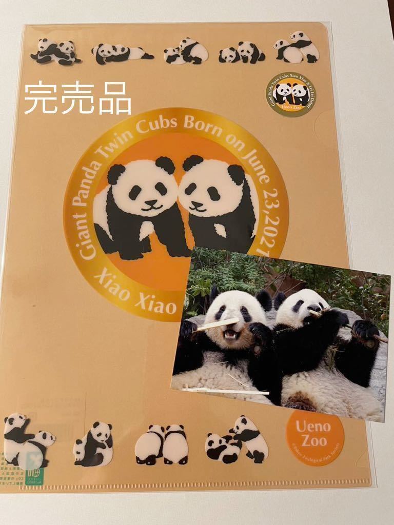 縁起物　シャオシャオ　レイレイ　赤ちゃん　写真　都庁正月報　A4額縁付き シャオシャオ・レイレイ 誕生記念 クリアファイル（完売品