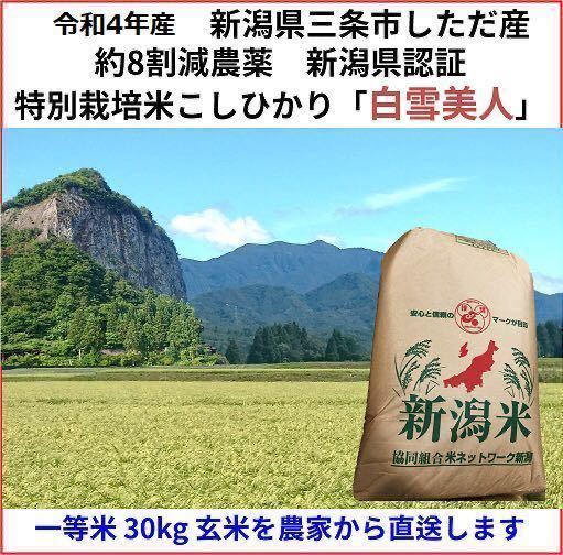 残り20袋 減農薬 新潟こしひかり玄米30kg 令和4年産 新潟県三条市旧