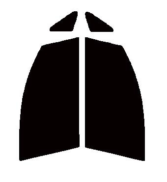 シャインゴースト プリズム97　運転席、助手席　ムーブ ムーヴ L175S・L185S カット済みフィルム