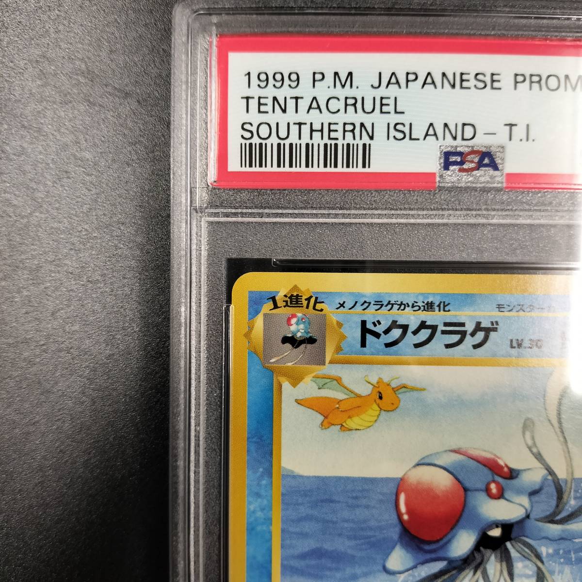 ARS10】ポケモンカード旧裏ドククラゲサザンアイランド