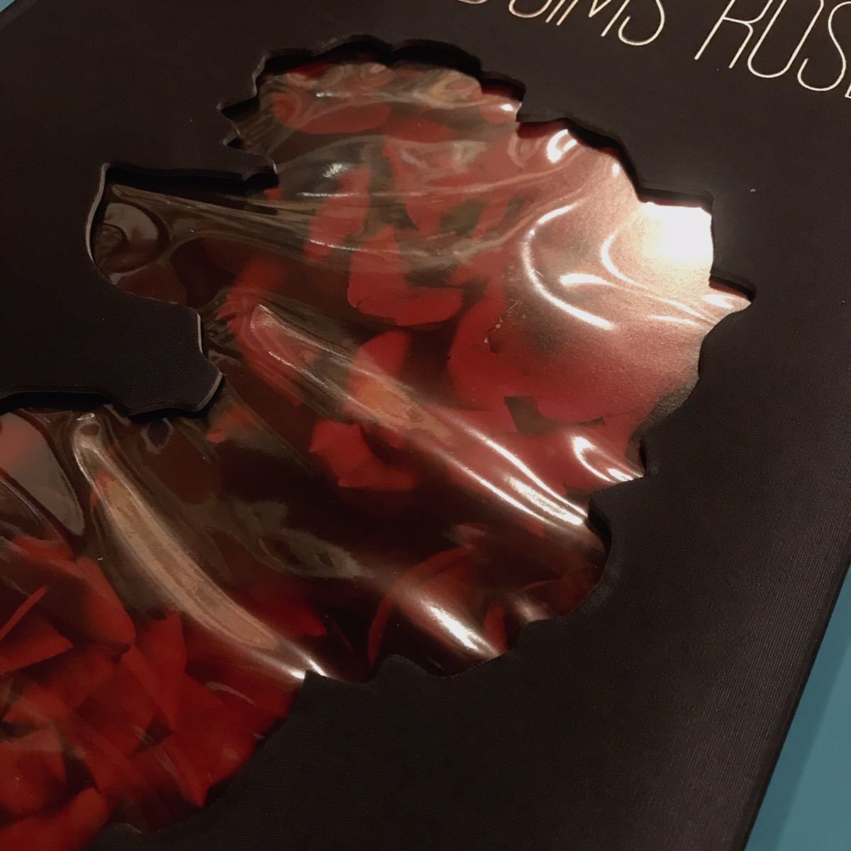 VISIONAIRE 40 DAVID SIMS ⁄ ROSES サイン本 ?v=