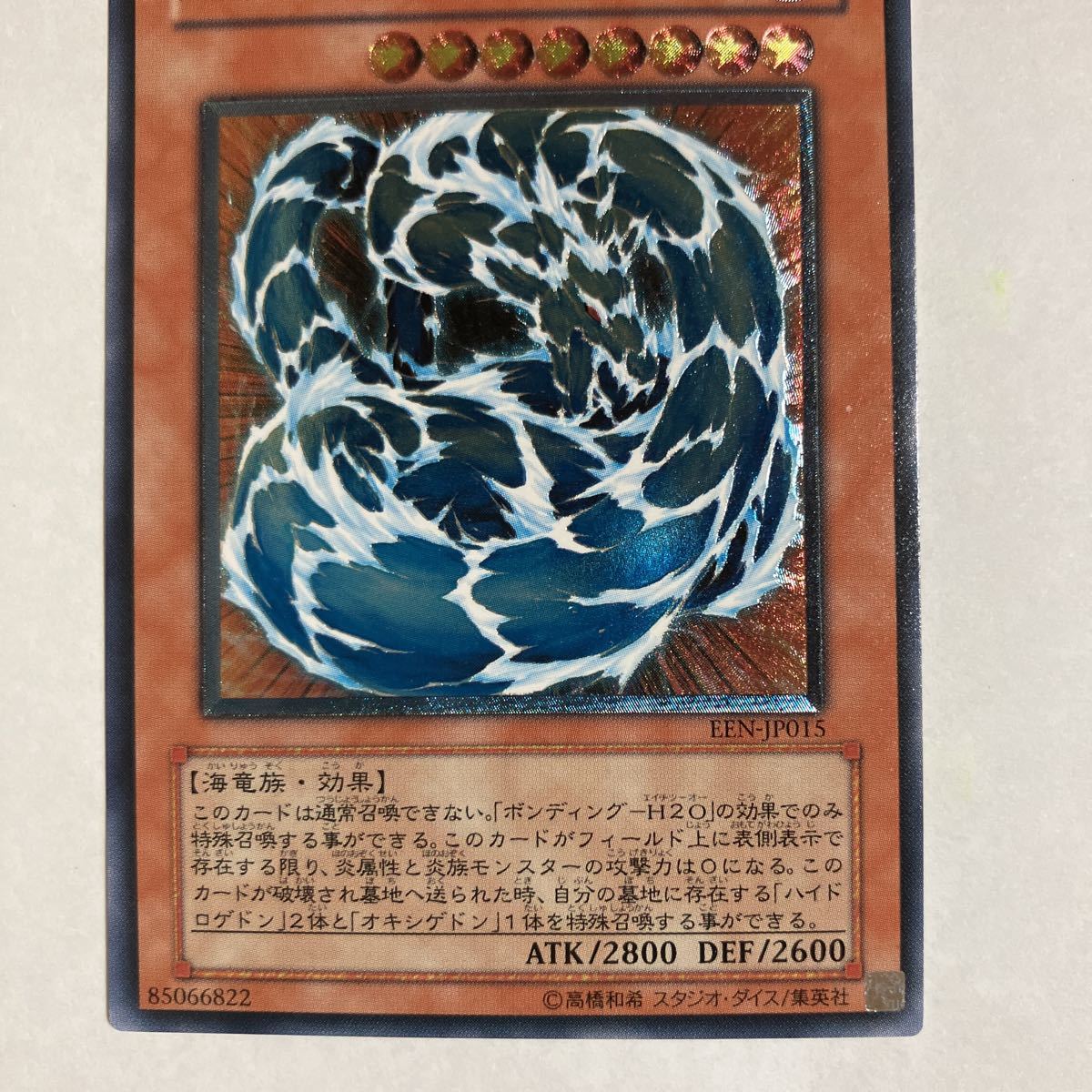ウォーター・ドラゴン レリーフ PSA10 【公式通販】