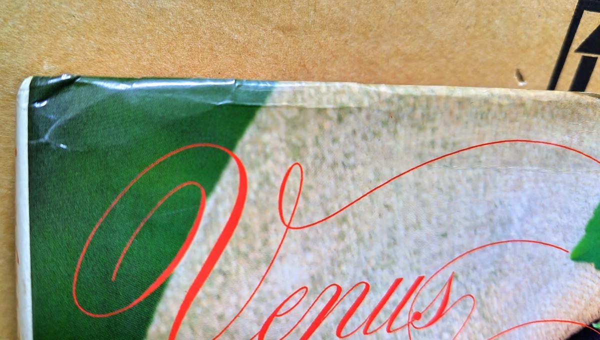 ビビアン・スー 写真集 「VENUS」 （帯付き）(ビビアン・スー)｜売買