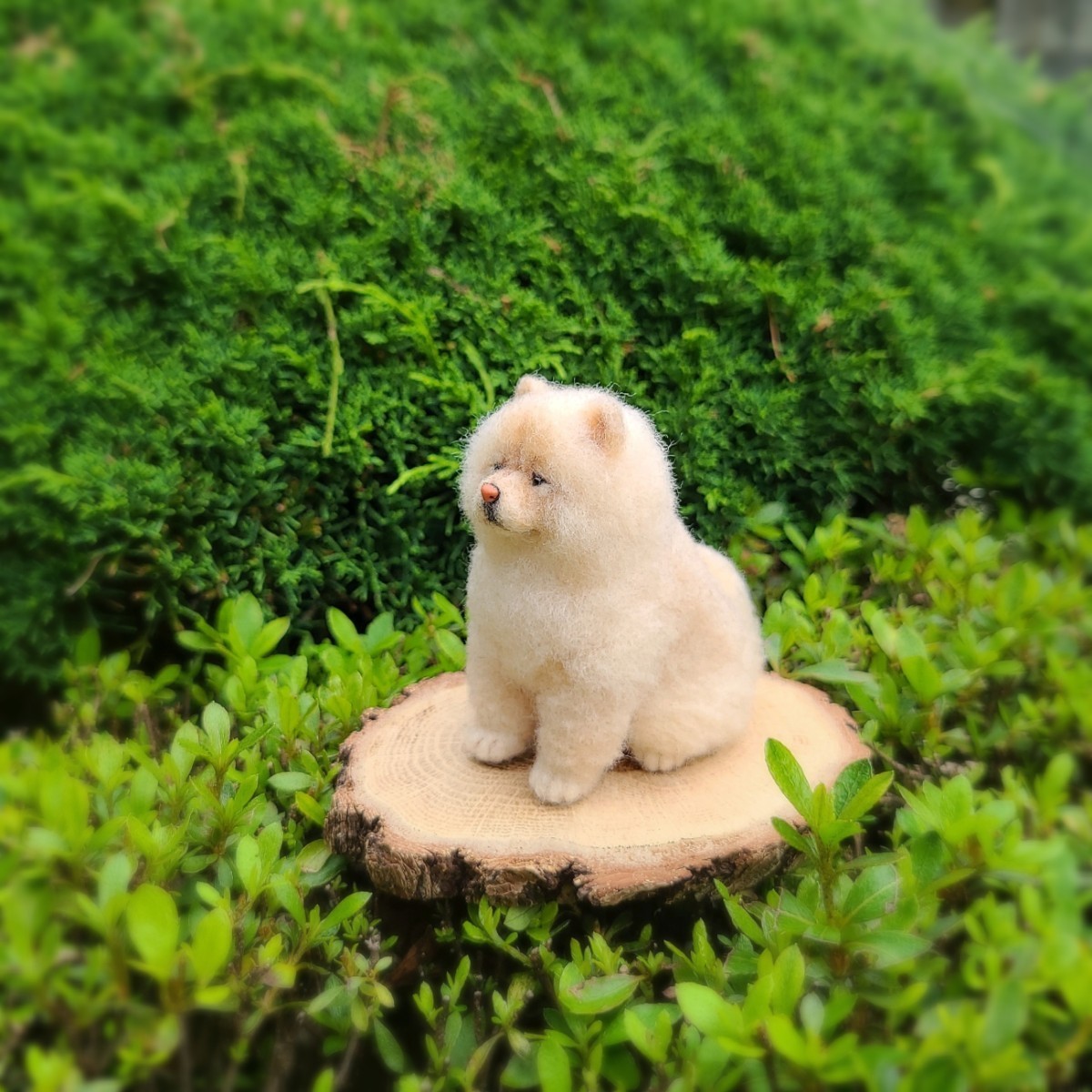 チャウチャウ もっふもふ＊羊毛フェルト ハンドメイド ドールハウス 