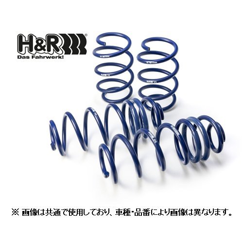 激安大特価，低価 H＆R ダウンサス ベンツ 190クラス W201 190E2.3-16V 201### 29614-1(スプリング)｜売買されたオークション情報、yahooの商品情報をアーカイブ公開 - オークファン スプリング
