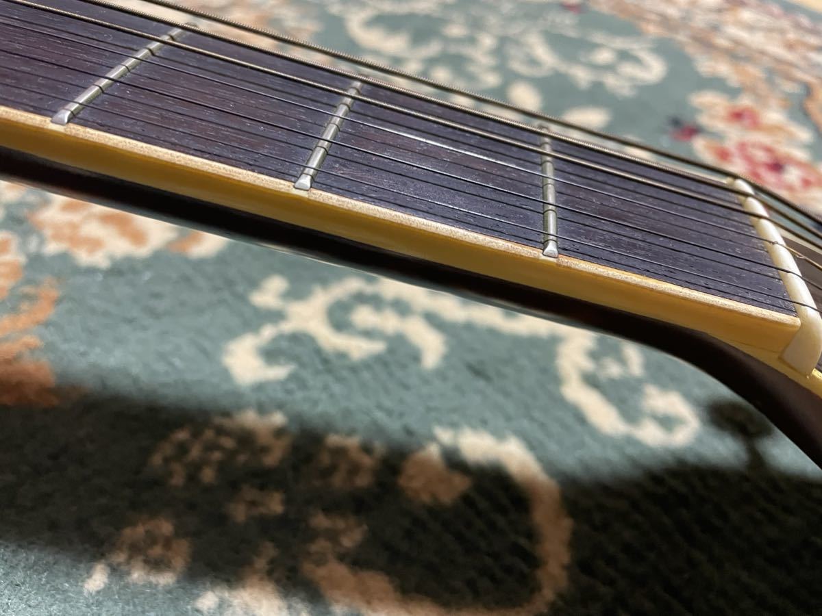 Eyes Tokai Cat's - Guitar Acoustic TOKAI CE-280D Dreadnought