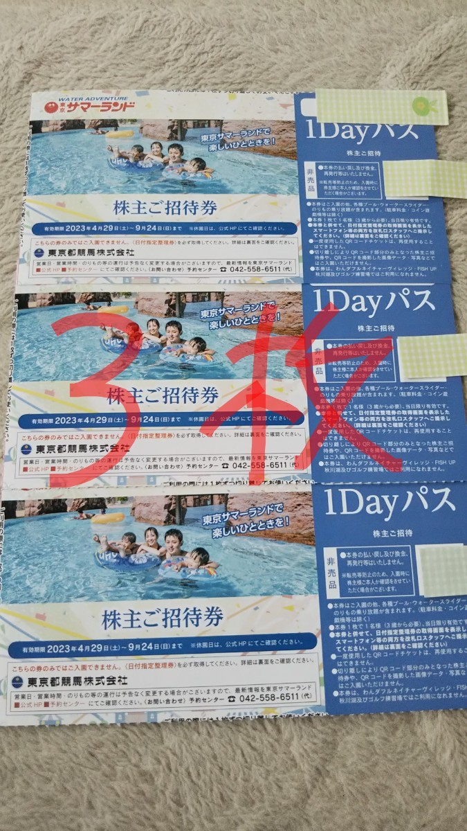 東京サマーランド 夏期利用 1DAYパス 3枚 普通郵便送料無料 東京サマーランド 夏期利用 1DAYパス 3枚 普通郵便送料無料