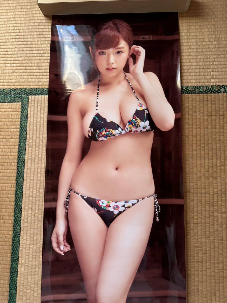 篠崎愛実物大両面ポスター 篠崎愛 等身大ポスター 花柄の紐パンビキニ 挑発の入札履歴 - すべての