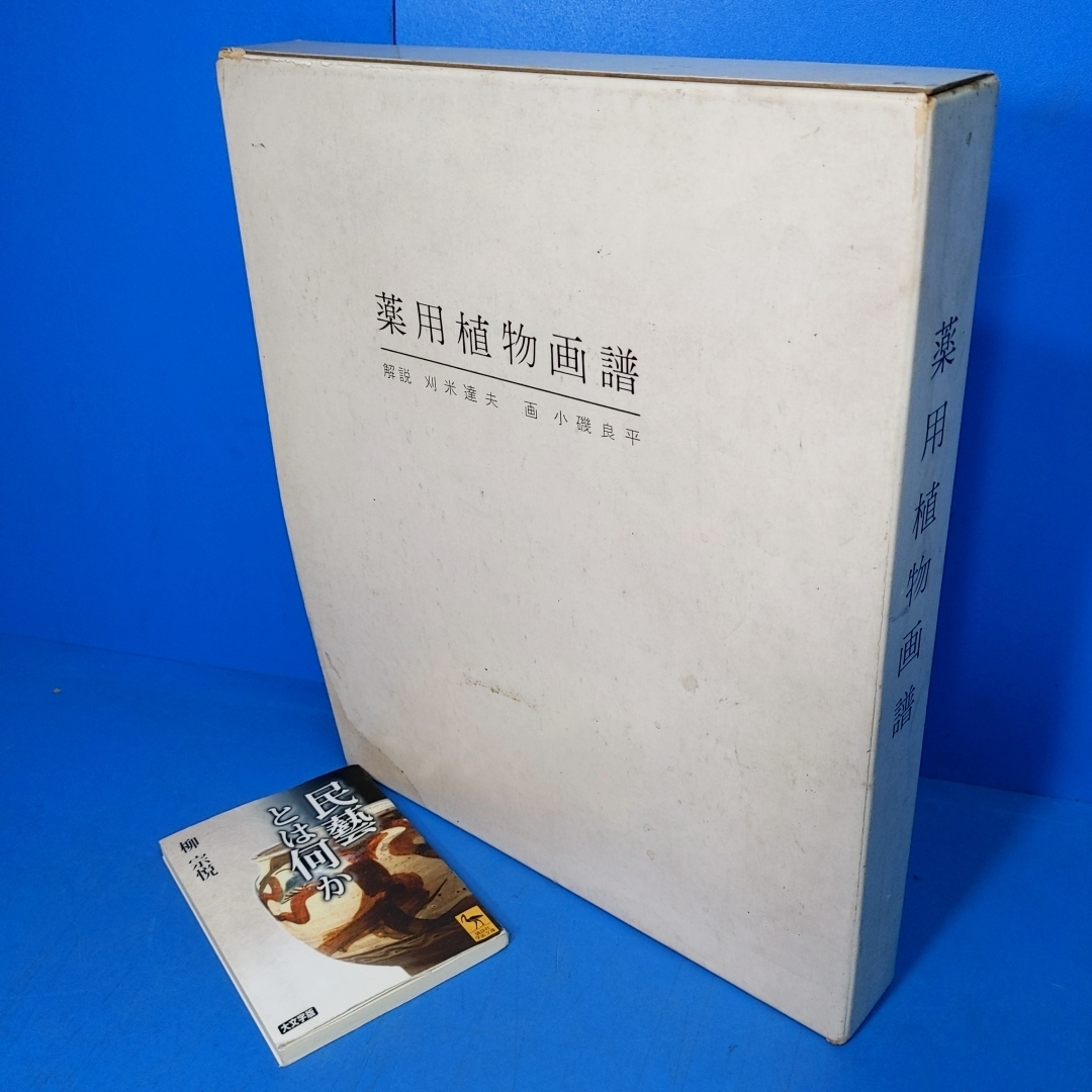 マーク・ロスコ展（MARK ROTHKO） デイヴィッド・アンファム（監修