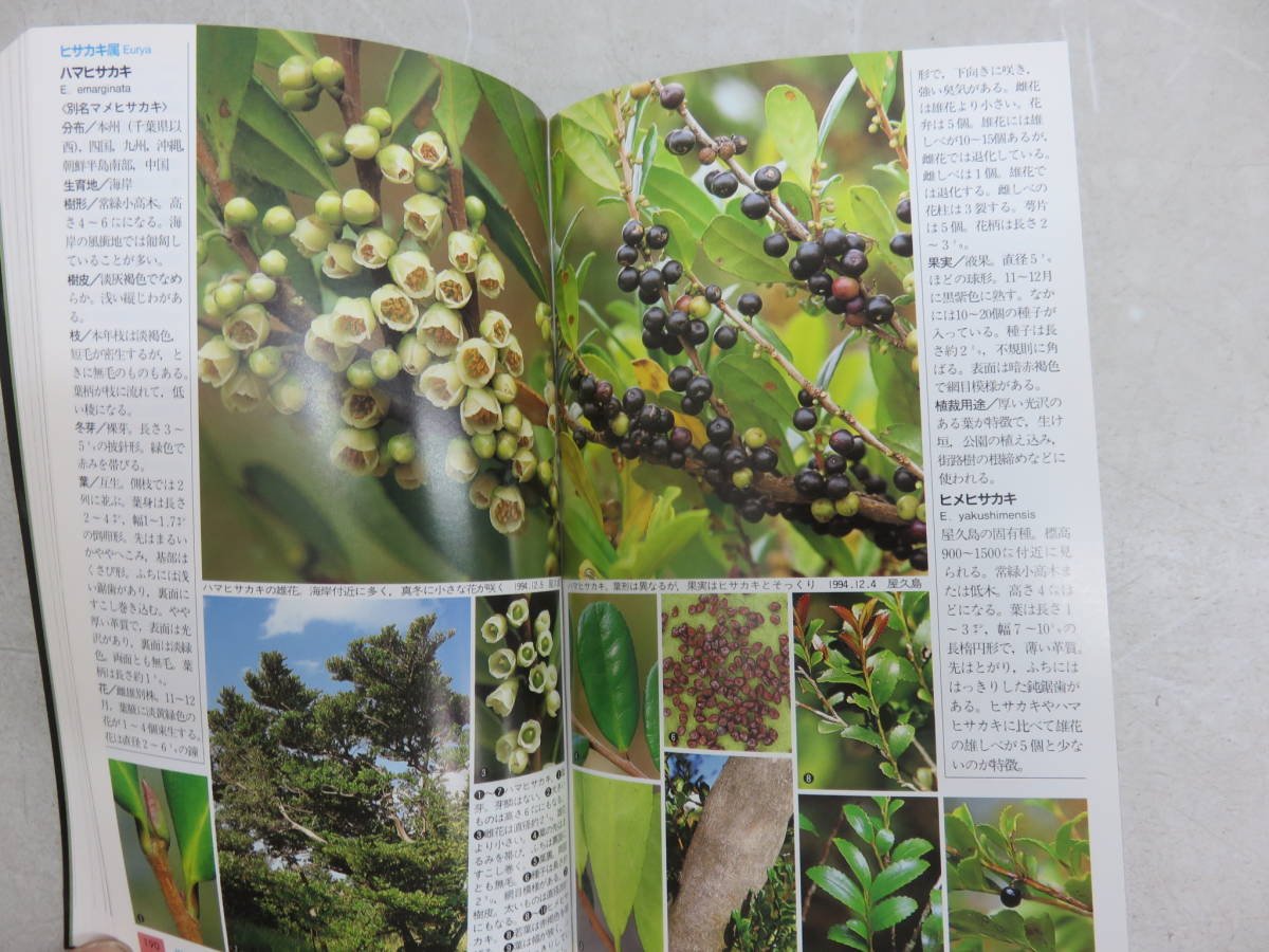 樹に咲く花 3冊セット 離弁花① 離弁花② 合弁花 単子葉 裸子植物 三渓 