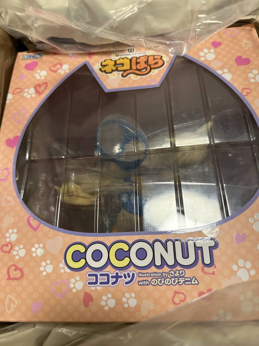 完全な新しい・箱入り娘 ネコぱら ココナツ illustration by さより