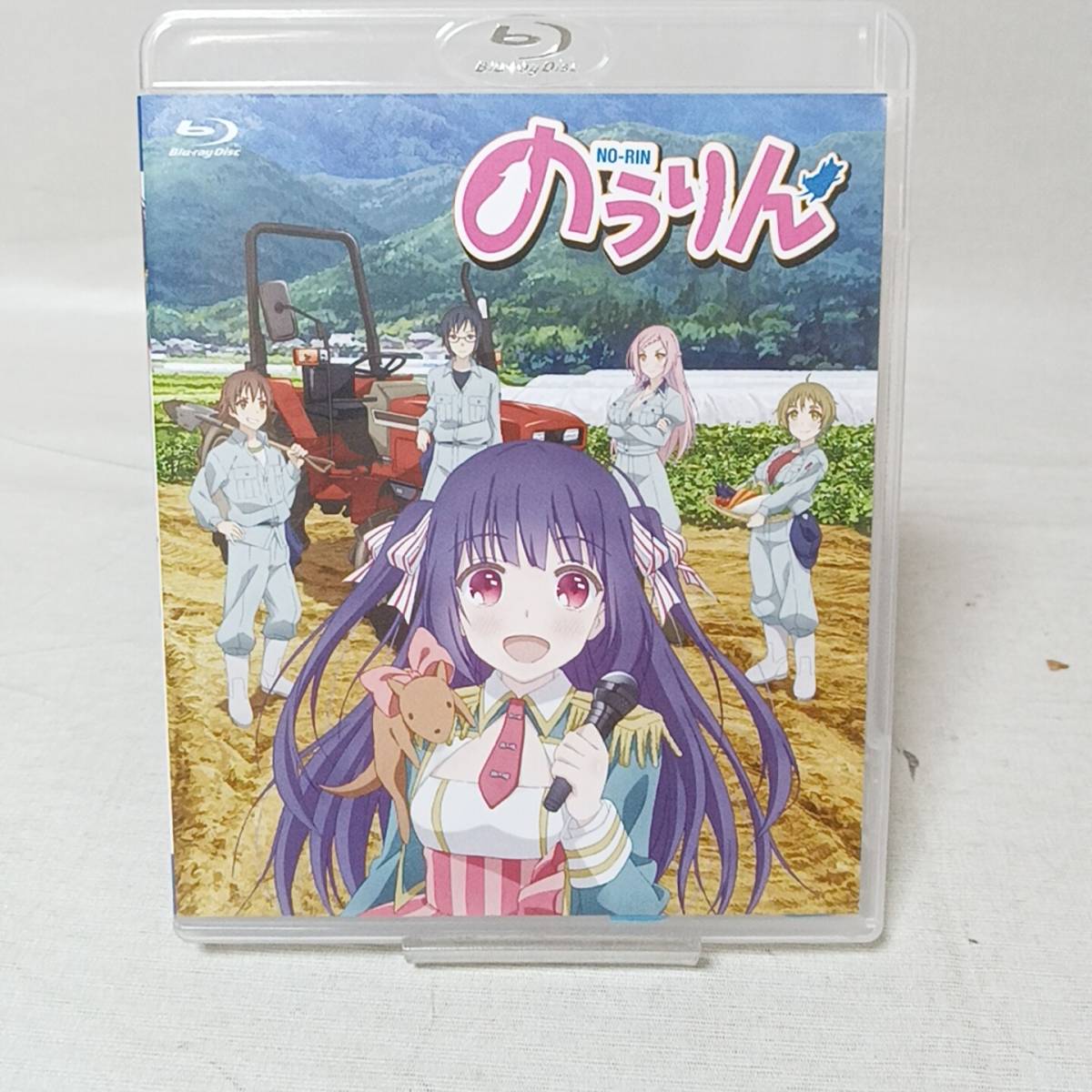 アニメBlu-ray Disc のうりん 全話いっき見ブルーレイ【管 34 】 のう