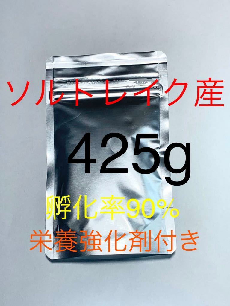 【品質保証，HOT】 コスパ抜群 ソルトレイク産 高品質ブラインシュリンプ 425g 栄養強化剤サンプル付き(エサ)｜売買されたオークション情報、yahooの商品情報をアーカイブ公開 - オークファン エサ