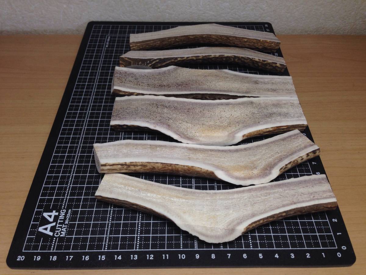 ７-169＊『半割りプレート６点セット』＊蝦夷鹿＊鹿角＊根付け＊タモ＊ナイフ＊柄＊鹿の角＊犬＊シカ＊エゾシカ