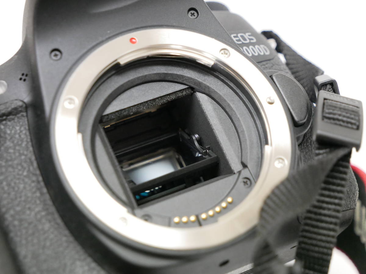 5018 CANON EOS 8000D キャノン イオス デジタル一眼レフカメラ ボディ 
