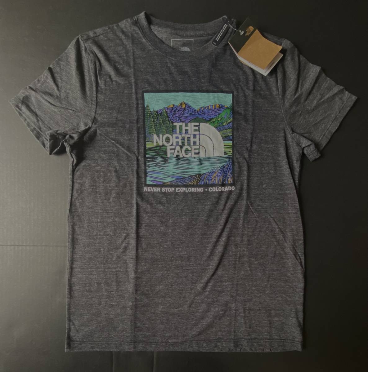 新品 THE NORTH FACE ノースフェイス BOXロゴTシャツ コロラド限定！ グレー(L) アメリカ直営店購入