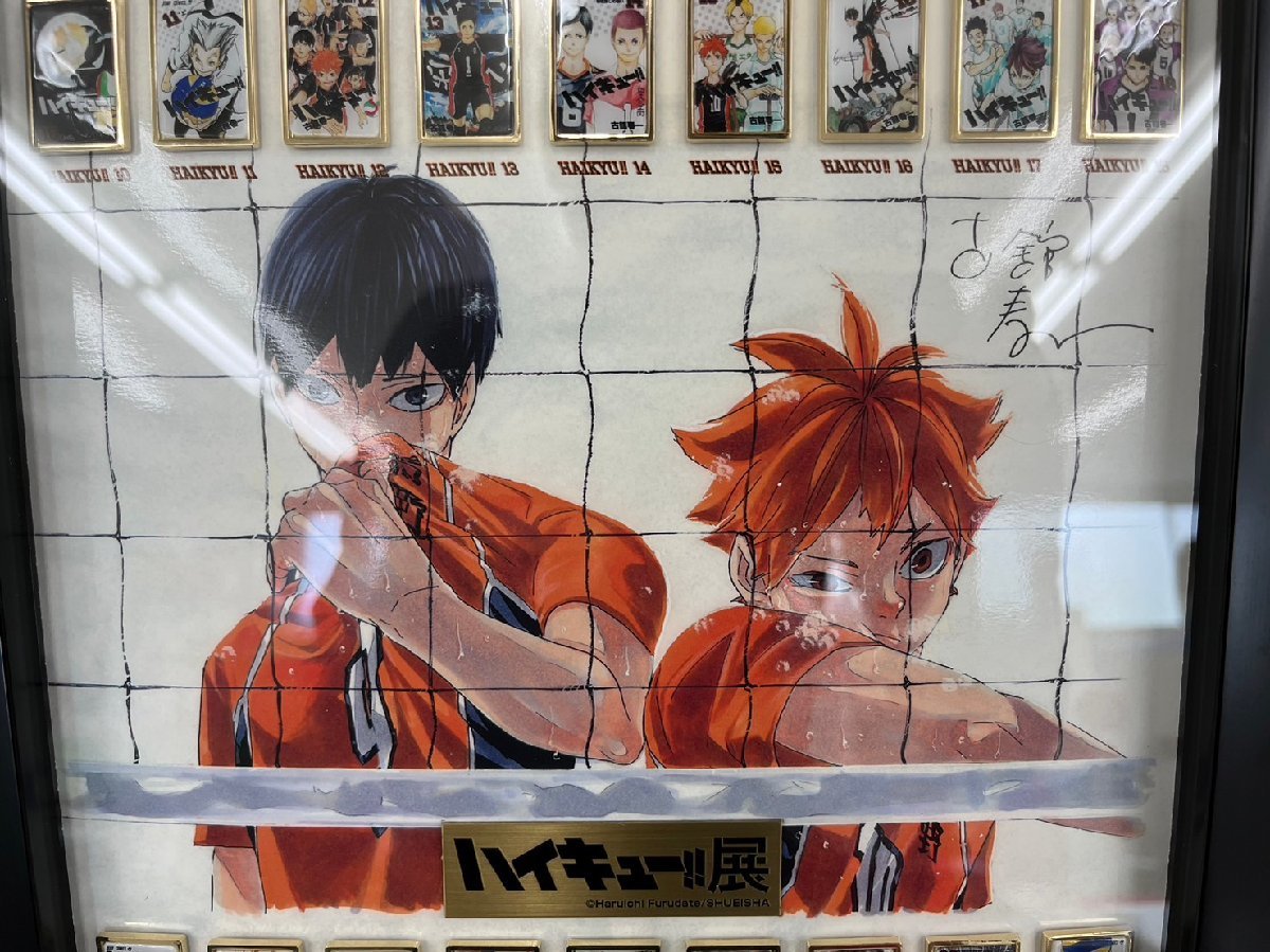 ハイキュー!!展　コミックス全巻ピンズセット ハイキュー!!展 コミックス全巻ピンズセット コミックス全巻ピンズ