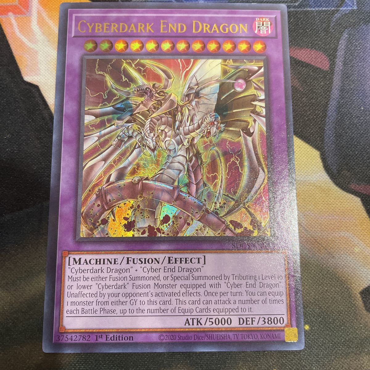 Card 遊戯王 ダークエンド・ドラゴン SJCS 極美品 世界に10枚 英版 