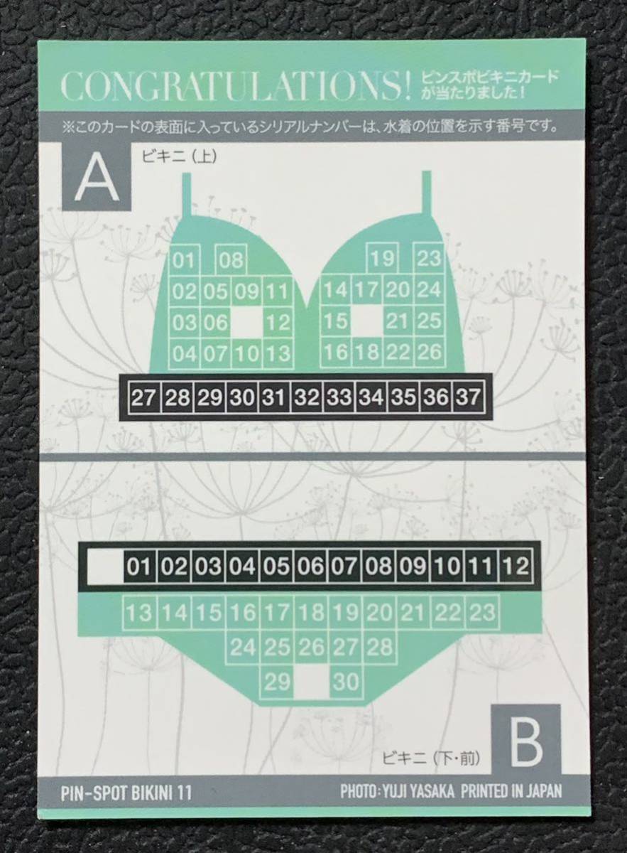 HIT'S ヒッツ 中島史恵 37枚限定 ピンスポットビキニカード ピンスポ