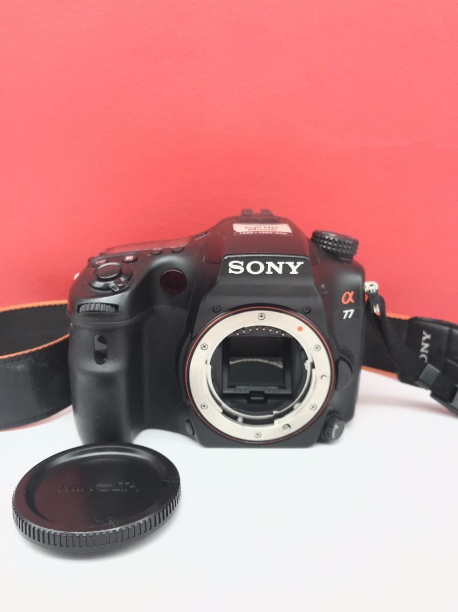  &equiv;A SONY &alpha;77 SLT-A77V ボディ デジタル一眼レフ 電池無し 動作未確認 ジャンク品 ソニー(ソニー)｜売買されたオークション情報、yahooの商品情報をアーカイブ公開 - オークファン ソニー