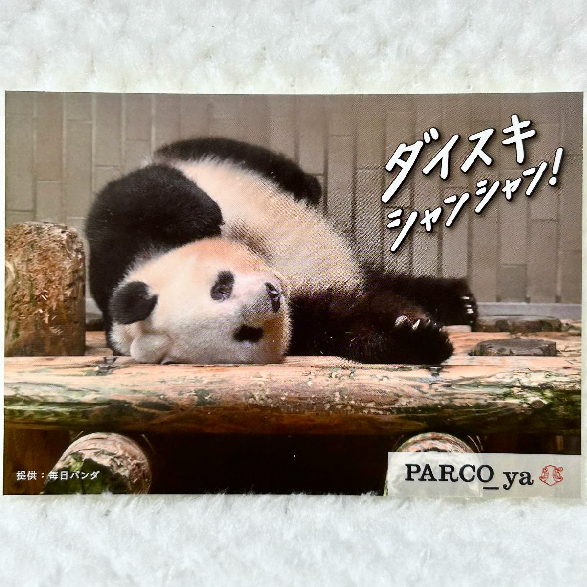 新品，低価 ＜ ＞ ダイスキ シャンシャン ステッカー PARCO_ya上野 ／上野動物園 ジャイアントパンダ 香香 シャオシャオ レイレイ シール(ステッカー)｜売買されたオークション情報、yahooの商品情報をア その他