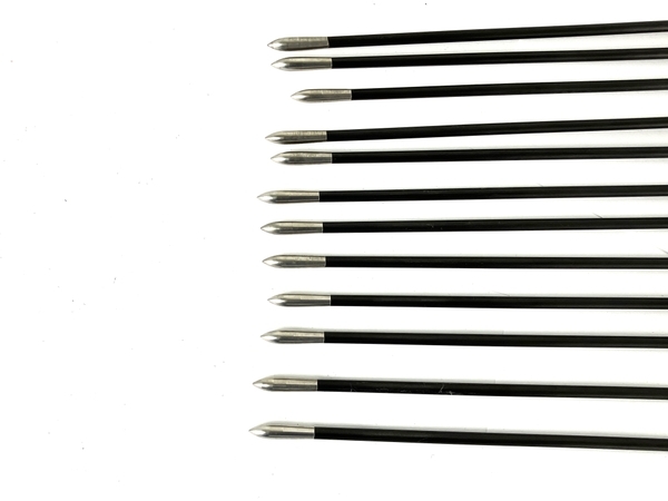 EASTON X10 C5 550 シリーズ 矢 アロー 12本 アルミニウム カーボン 