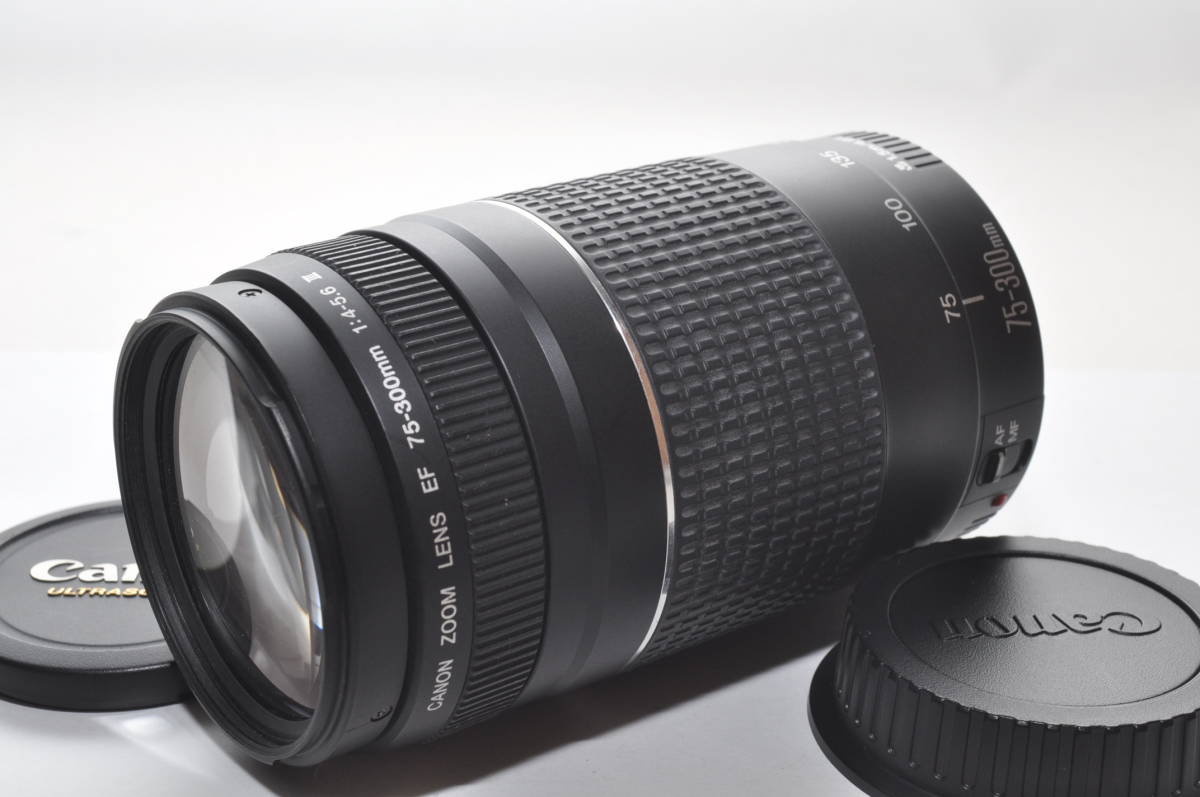 カメラ ☆極美品☆キヤノン EF 75-300mm f4-5.6 IS USM#1852