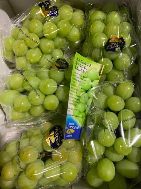 【限定品】　　岡山県特産　シャインマスカット　7〜9房入　約5kg 朝採れ　1円スタート
