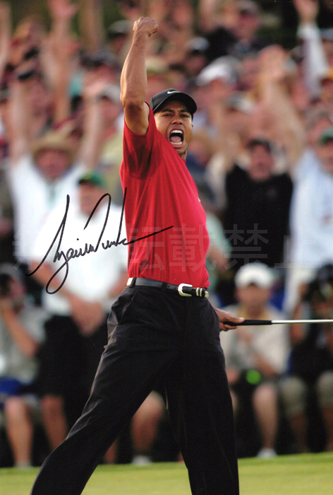 タイガー・ウッズ 直筆サインフォト/写真 ゴルフ Tiger Woods タイガー