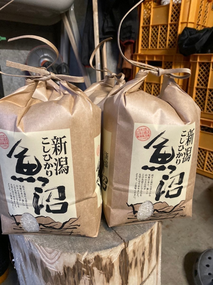 令和5年産新米魚沼産コシヒカリ従来品種10キロ×2合計20