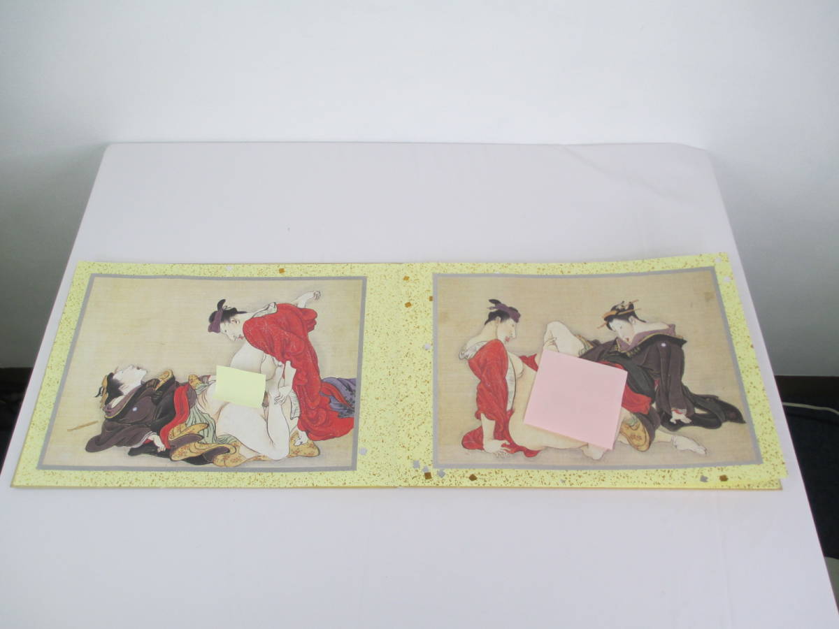C-3【美品】(95) 秘蔵画帖 (四) 圓山應擧 円山応挙 嵯峨御殿拾弐図 全