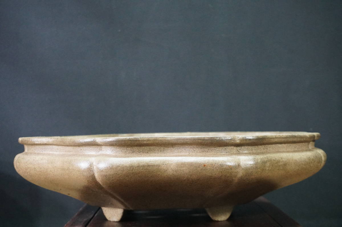 Yahoo!オークション -「日和」(盆栽) の落札相場・落札価格 ☆盆栽日和